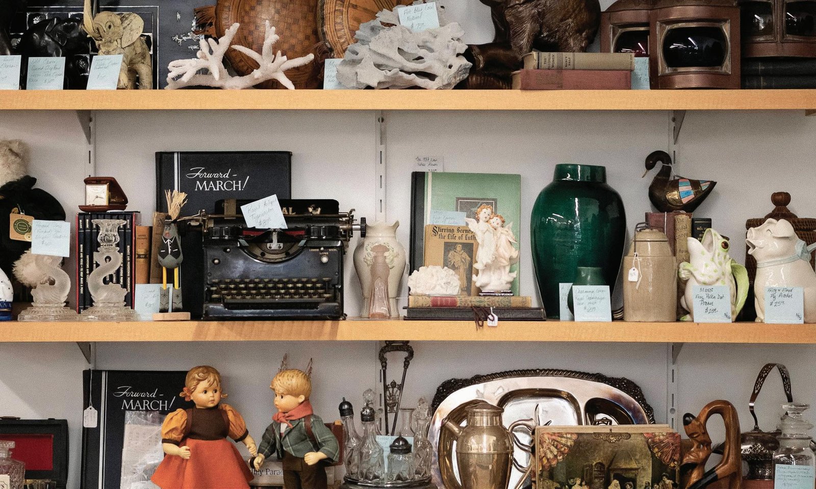 The Benefits of Collecting: Exploring the Joys of Gathering and Preserving